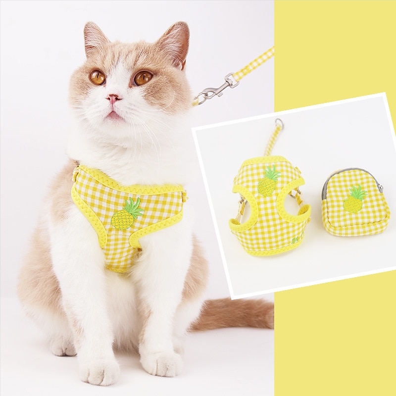 Cat Traction Rope To Prevent Slipping Out And Walk The Cat Outdoors Summer Vest Style Fruit Embroidery Small And Medium-sized Dog Chest Strap2