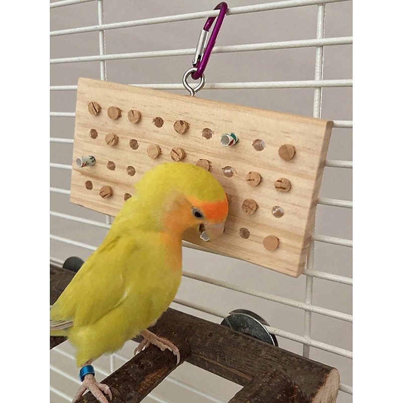 Interactive Toy with Durable Pet Exercise Teething Toy for Birds Indoor Pet Play2