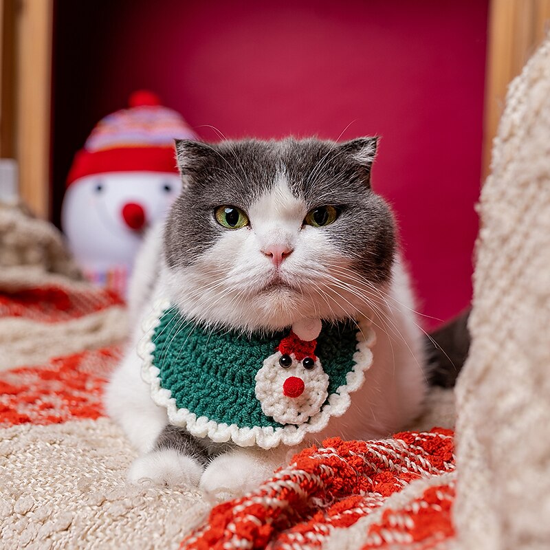 Pet Christmas Hat Pure Handmade Woolen Knitted Hat Headwear Dressing Cute Holiday Personalized Creativity3