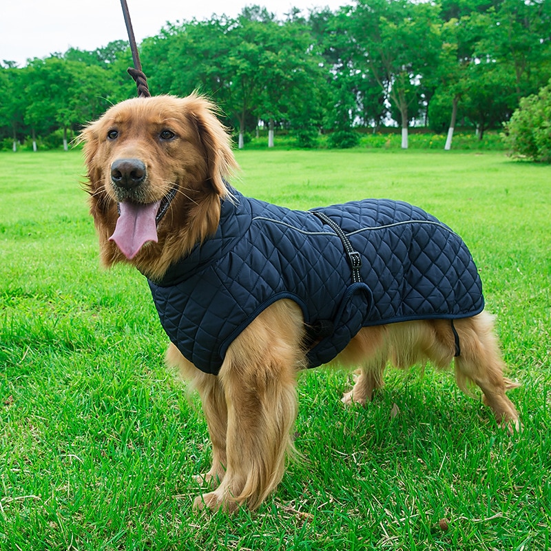 Dog Cat Coat Jacket Fashion Casual Winter Reflective Warm Breathable Soft Washable Outdoor Casual Daily Dog Clothing for Corgi Dachshund Pomeranian Baby Pet Papillon2