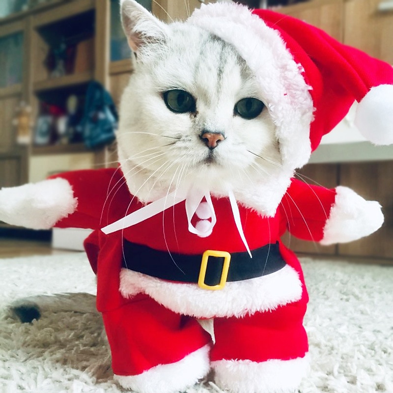 Christmas Attire Halloween Hat Funny And Cute Transformation Outfit Christmas Three-Dimensional Outfit Comfortable3