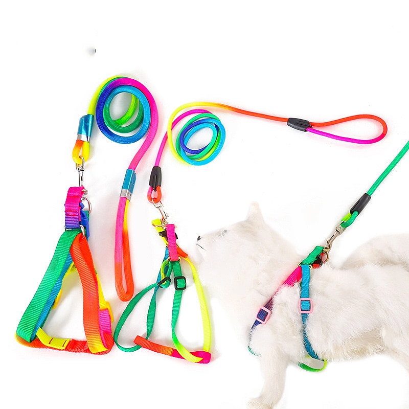 Dog Colorful Traction Rope Colorful Nylon Rope Pet Chest Strap Traction Rope Pet Supplies2