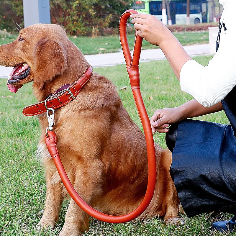 Pet Dog Leather Collar Traction Rope Walking Dog Rope Set Pet PU Collar Traction Belt