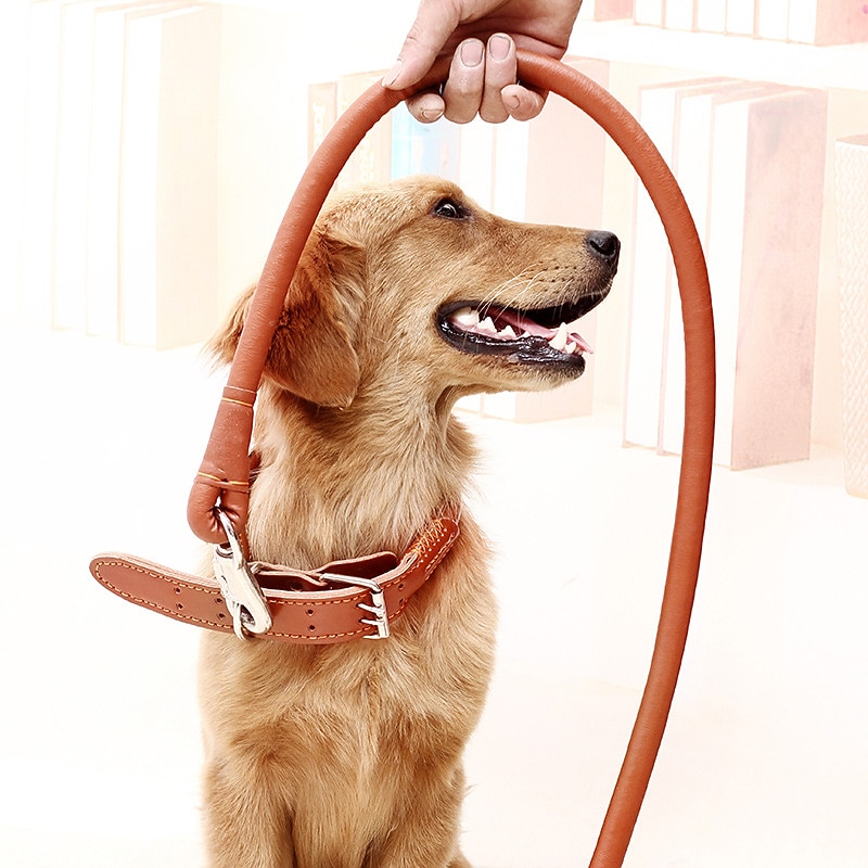 Pet Dog Leather Collar Traction Rope Walking Dog Rope Set Pet PU Collar Traction Belt4