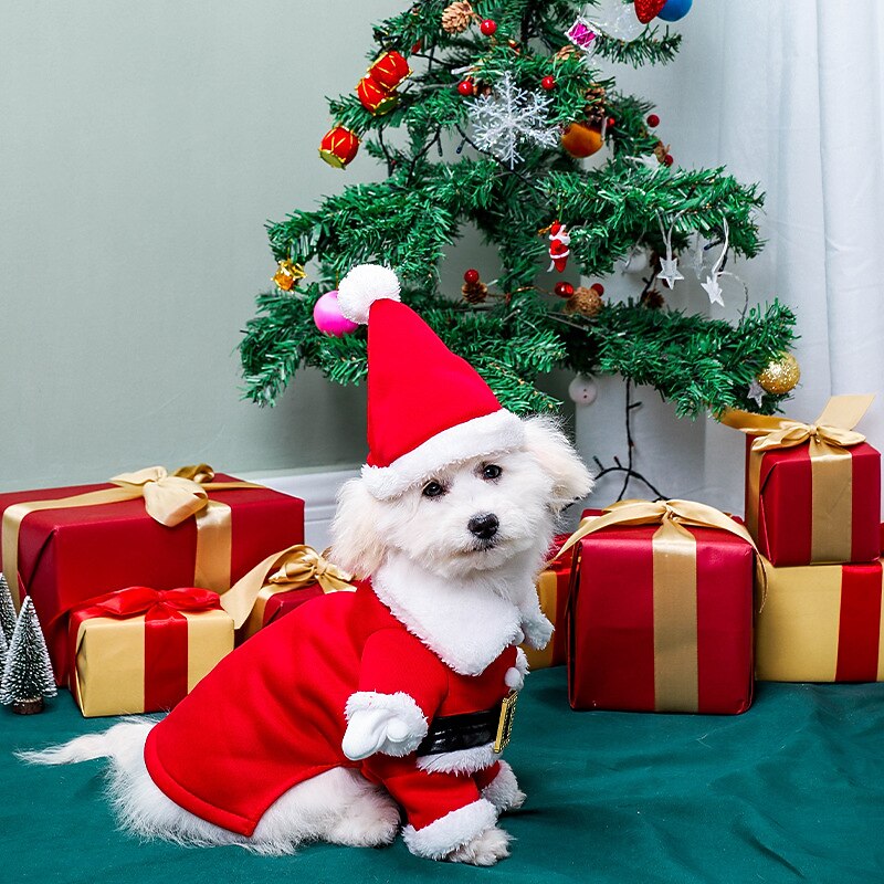 Dog Christmas Outfit Pet 3D Christmas Clothes Dog Clothes Funny Standing Pomeranian Transformations Pet Clothes3