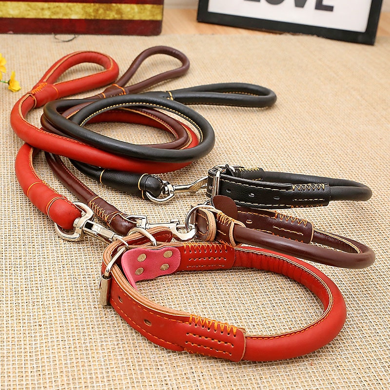 Pet Dog Leather Collar Traction Rope Walking Dog Rope Set Pet PU Collar Traction Belt2