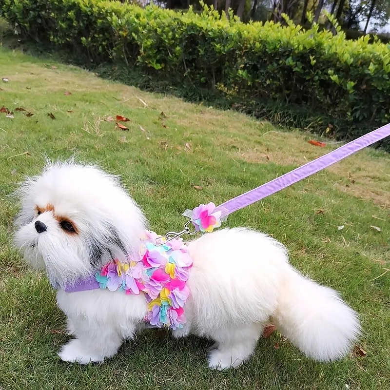 Dog Cat Harness Leash Fashion Party Breathable Washable Comfortable Christmas Christmas Outdoor Casual Daily Dog Clothing for Bichon Frise Pomeranian Baby Pet Papillon Small