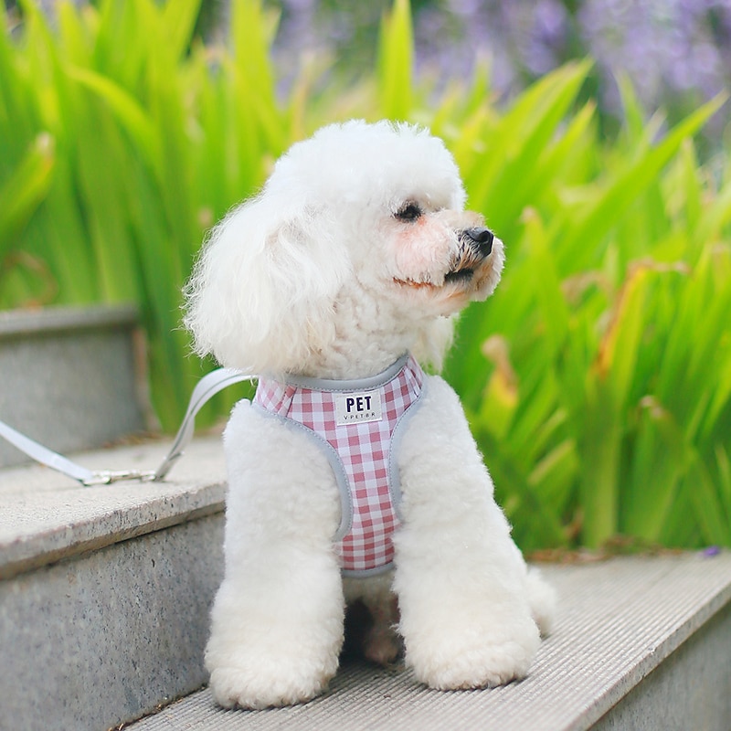 Pet Chest Strap Cross border New Tank Top Style Plaid Breathable Dog Traction Rope Small Dog Teddy Walking Rope3