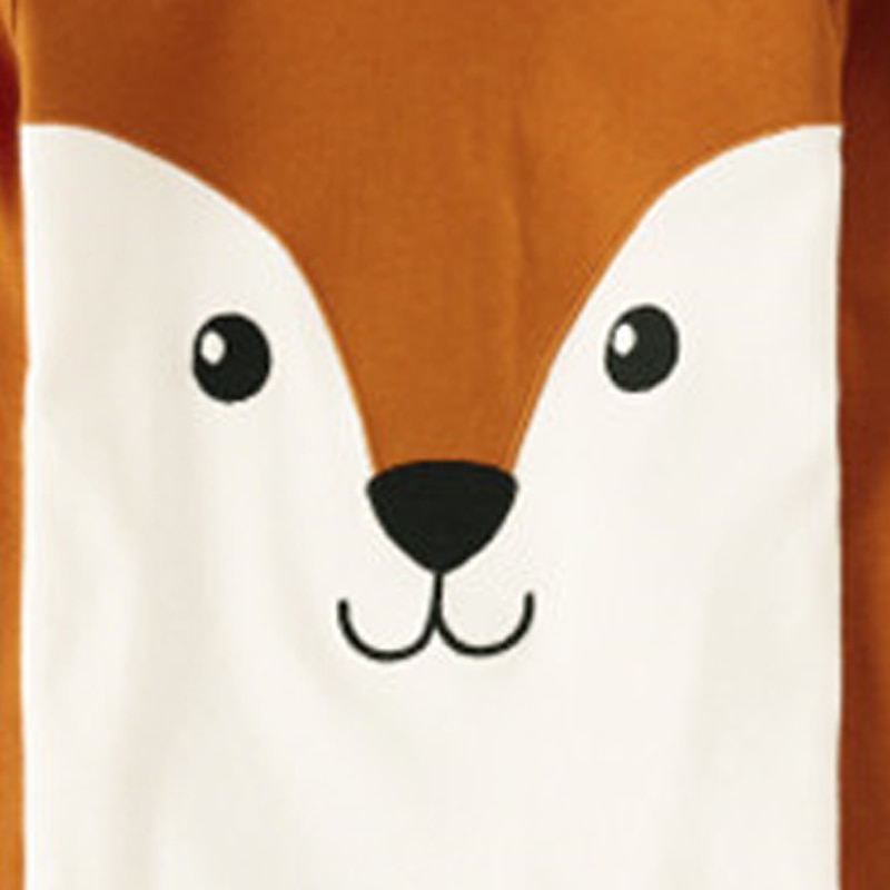 Girls' 3D Fox Pajama Sets Long Sleeve 3D Print Fall Winter Active Fashion Cute Kids 3-12 Years Crew Neck Home Causal Indoor Regular Fit4