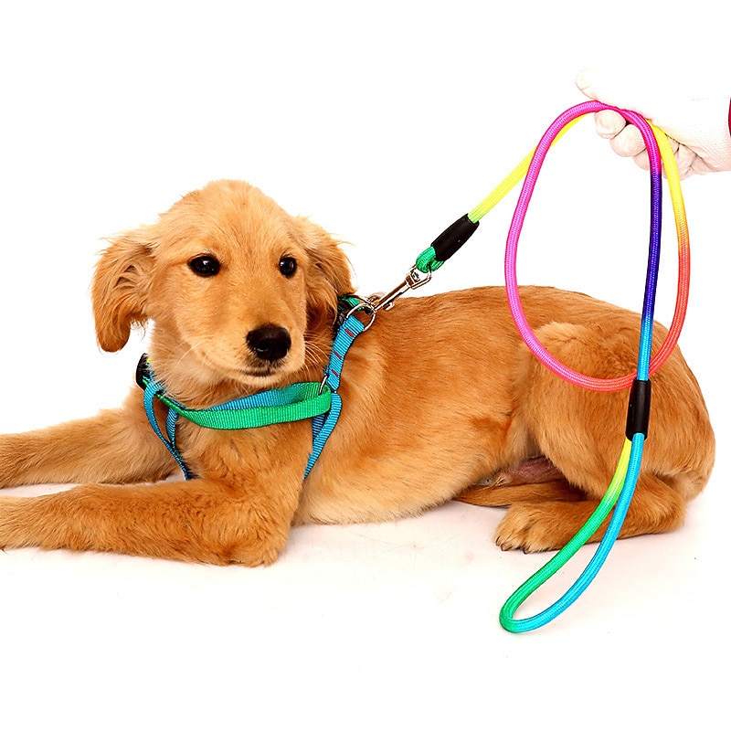 Dog Colorful Traction Rope Colorful Nylon Rope Pet Chest Strap Traction Rope Pet Supplies4