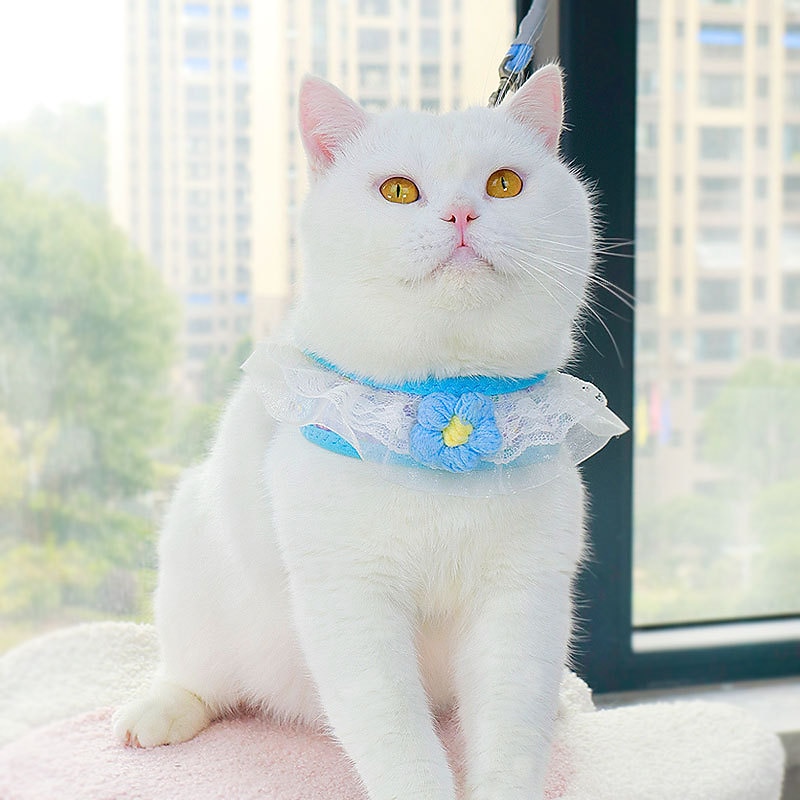 Dog Cat Harness Leash Fashion Party Adjustable Breathable Washable Comfortable Christmas Outdoor Casual Daily Dog Clothing for Bichon Frise Pomeranian Baby Pet Papillon Small2