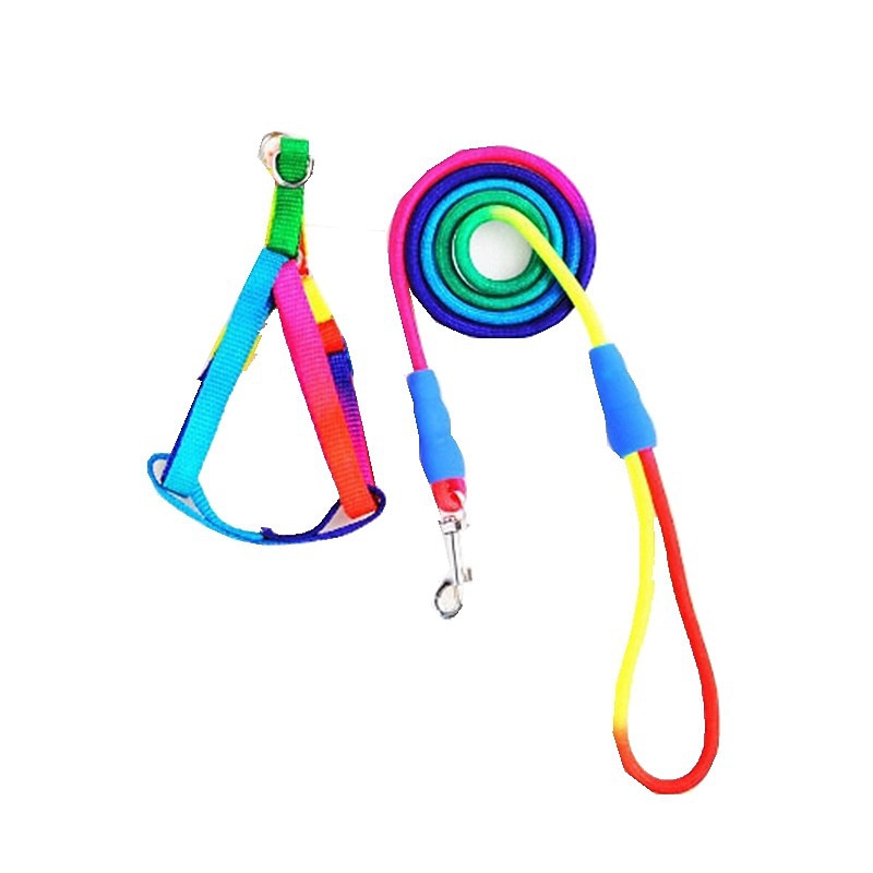 Pet Supplies Dog Traction Rope Pet Colorful Chest Strap Chest Back Dog Chain Dog Rope4