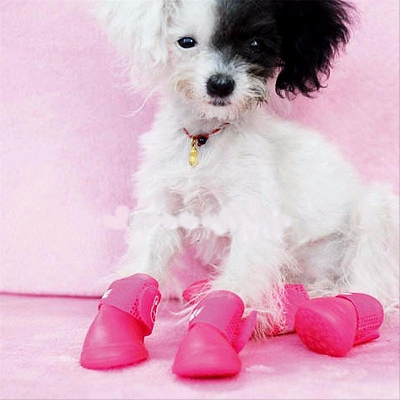 Candy Rubber Dog Shoes Pet Rain Shoes Waterproof Spring/Summer New Anti slip Pet Rain Shoes3
