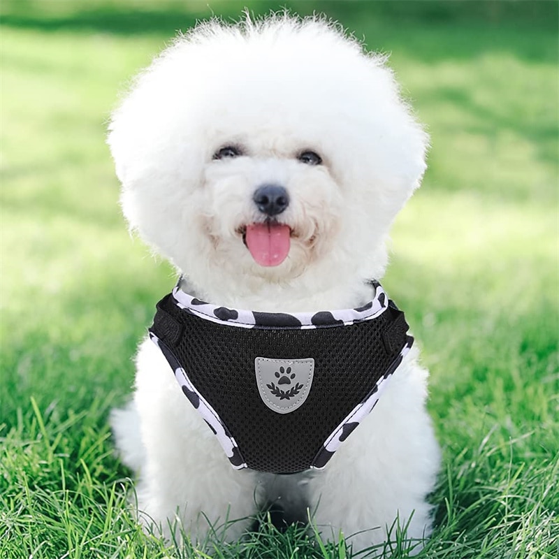 Dog Harness and Leash Set for Walking Soft Mesh Adjustable Easy Control Lightweight Cat Vest Harnesses with Reflective Strips Escape Proof Small Dogs Cats Vests