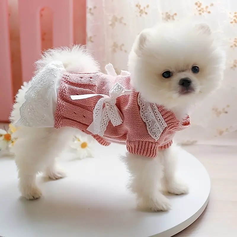 Dog Cat Dress Cute Casual Winter Breathable Soft Washable Comfortable Christmas Outdoor Casual Daily Dog Clothing for Bichon Frise Pomeranian Baby Pet Papillon Small4
