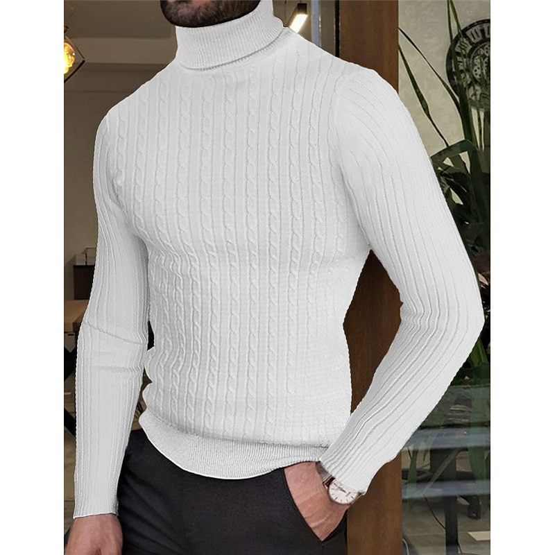 Men's Turtleneck Sweater Sweater Mens Turtle Neck Jumper Pullover Ribbed Cable Knit Knitted Plain Turtleneck Keep Warm Modern Contemporary Daily Wear Going out Clothing Apparel Fall & Winter Wine2