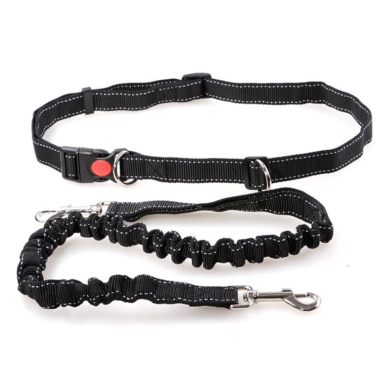 Pet Traction Equipment Dog Traction Rope Teddy Bear Dog Rope Dog Chain Pull Strap Fitness Nylon Traction Strap4