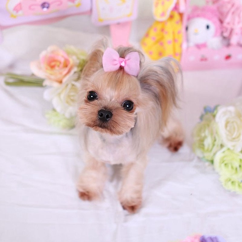 Dog Cat Ornaments Cute Party Winter Breathable Soft Washable Comfortable Outdoor Casual Daily Dog Clothing for Bichon Frise Pomeranian Baby Pet Papillon Small4