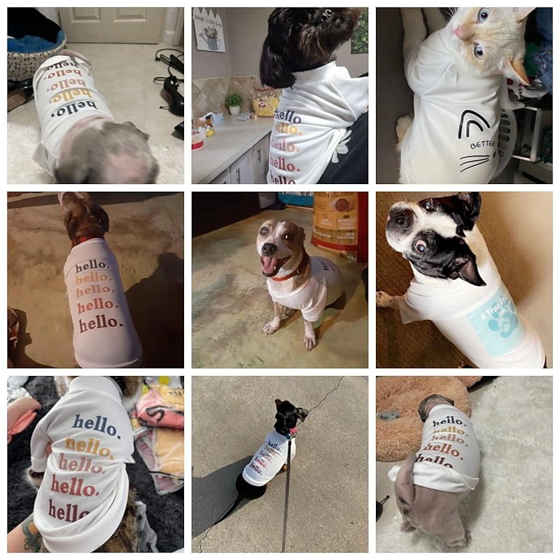 Dog Cat Shirt / T-Shirt Fashion Party Breathable Soft Washable Comfortable Outdoor Casual Daily Dog Clothing for Bichon Frise Pomeranian Baby Pet Papillon Small2