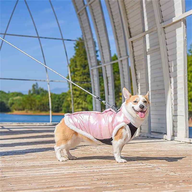 Dog Cat Coat Jacket Vest Fashion Party Winter Reflective Waterproof Warm Breathable Soft Christmas Halloween Outdoor Casual Daily Dog Clothing for Bichon Frise Pomeranian Baby Pet Papillon Small3