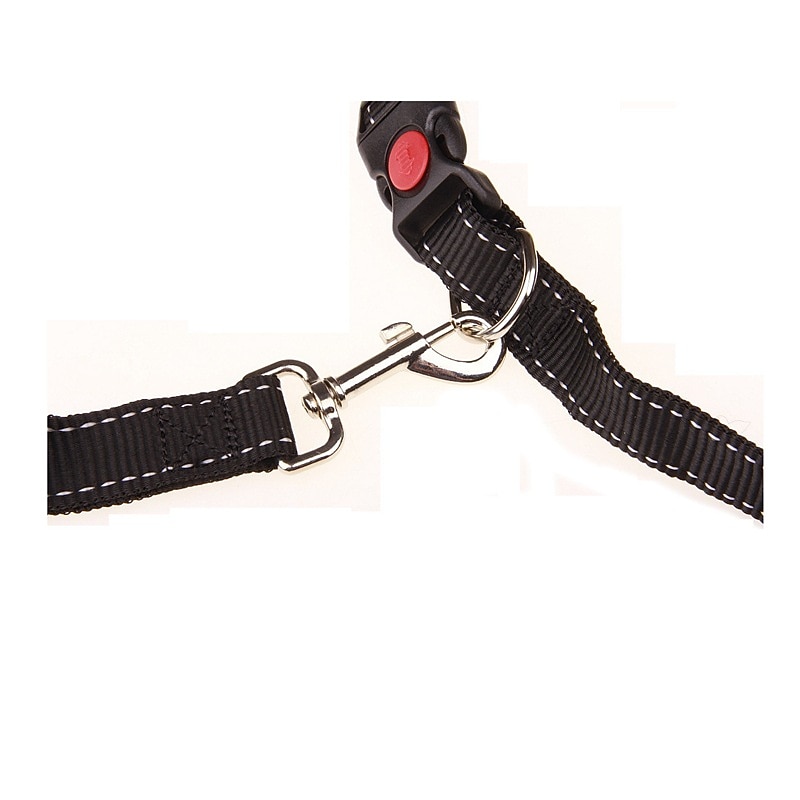 Pet Supplies Safety Elastic Running Belt Head Belt Elastic Effect Special Traction Belt for Morning Running2