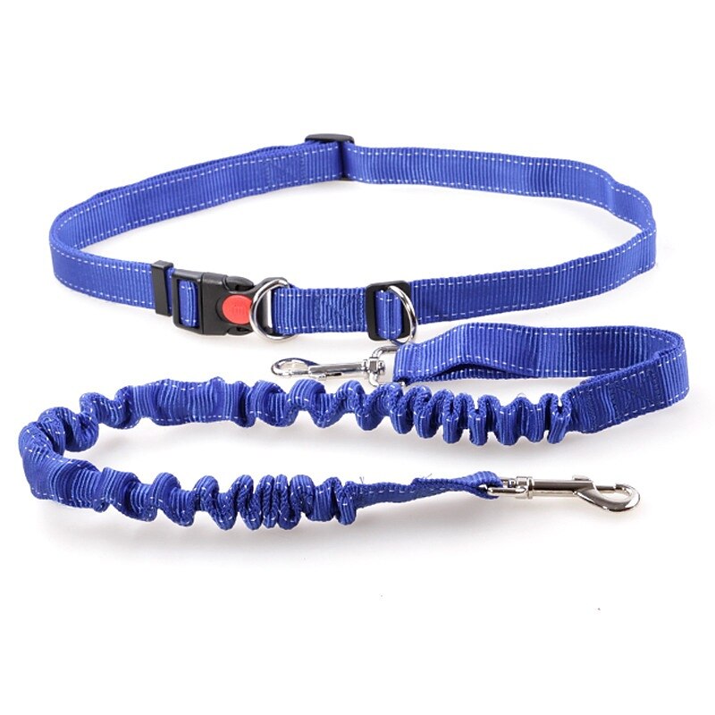 Pet Traction Equipment Dog Traction Rope Teddy Bear Dog Rope Dog Chain Pull Strap Fitness Nylon Traction Strap3