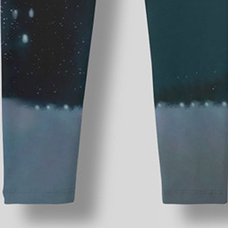 Girls' 3D Penguin Hoodie & Legging Set Long Sleeve 3D Print Fall Winter Active Fashion Daily Kids 3-12 Years Outdoor Vacation Date Regular Fit4