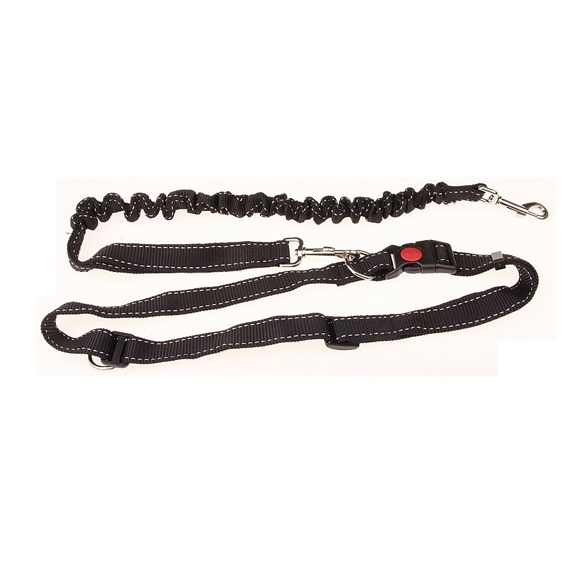 Pet Supplies Safety Elastic Running Belt Head Belt Elastic Effect Special Traction Belt for Morning Running4