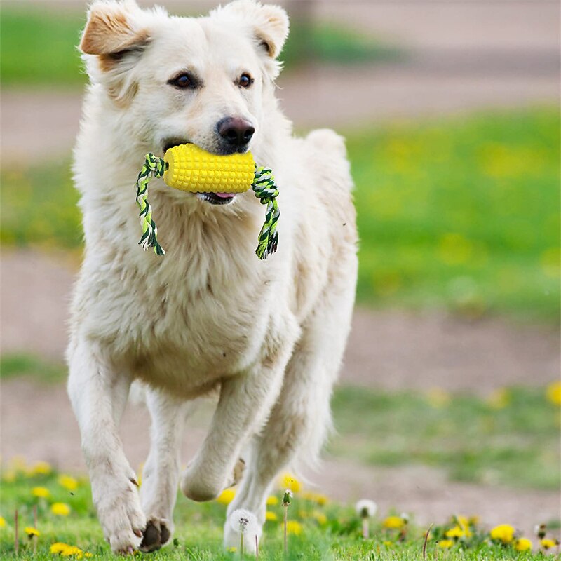 Dog Chew Toys for Aggressive Chewers Indestructible Tough Durable Squeaky Interactive Dog Toys Puppy Teeth Chew Corn Stick Toy for Small Meduium Large Breed2