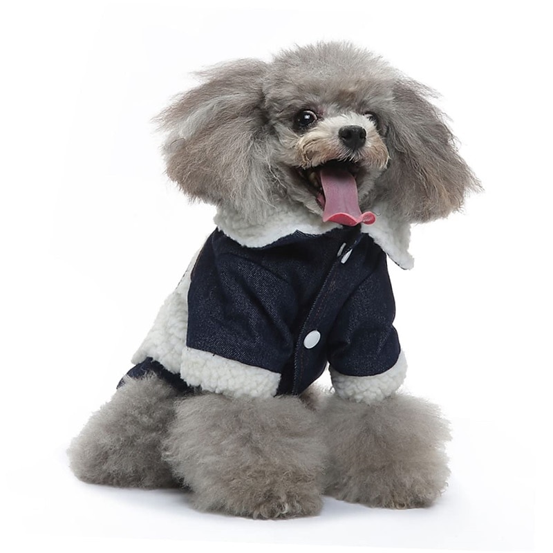 Dog Cat Coat Jacket Sports Casual Winter Warm Breathable Soft Washable Comfortable Outdoor Casual Daily Dog Clothing for Bichon Frise Pomeranian Baby Pet Papillon Small3