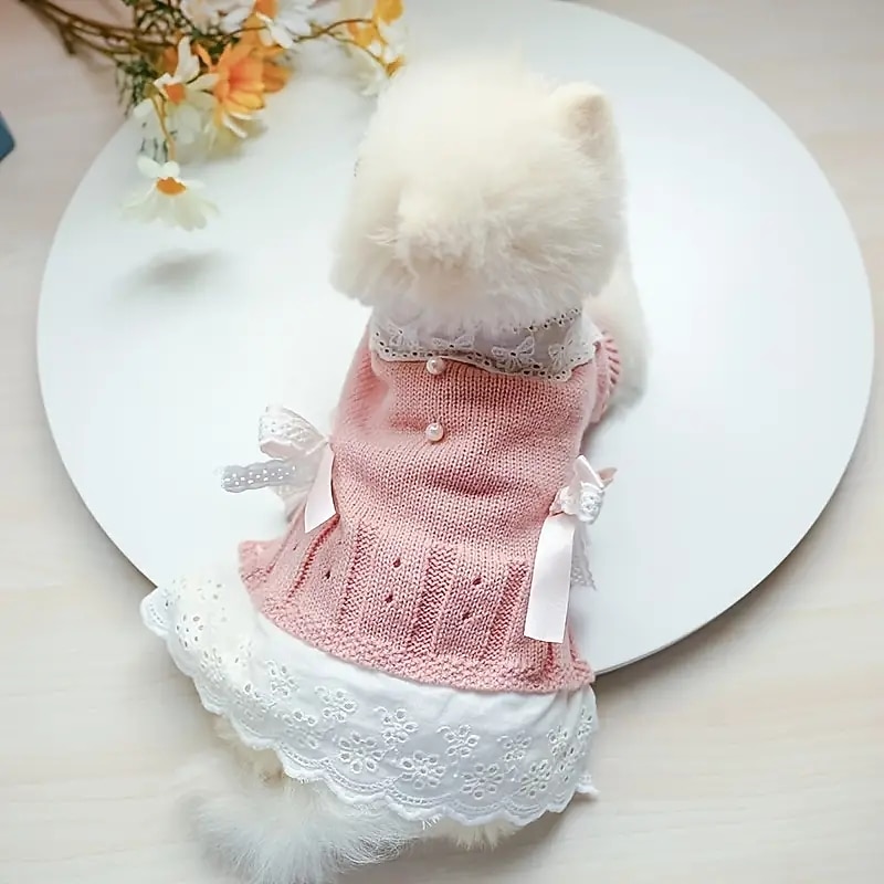 Dog Cat Dress Cute Casual Winter Breathable Soft Washable Comfortable Christmas Outdoor Casual Daily Dog Clothing for Bichon Frise Pomeranian Baby Pet Papillon Small3