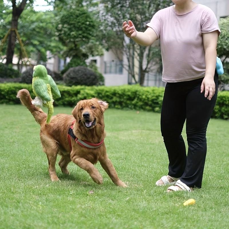 1pc Budgerigar/Owl/Macaws/Parakeets Design Pet Grinding Teeth Squeaky Plush Toy Durable Chew Toy For Dog Interactive Supply3