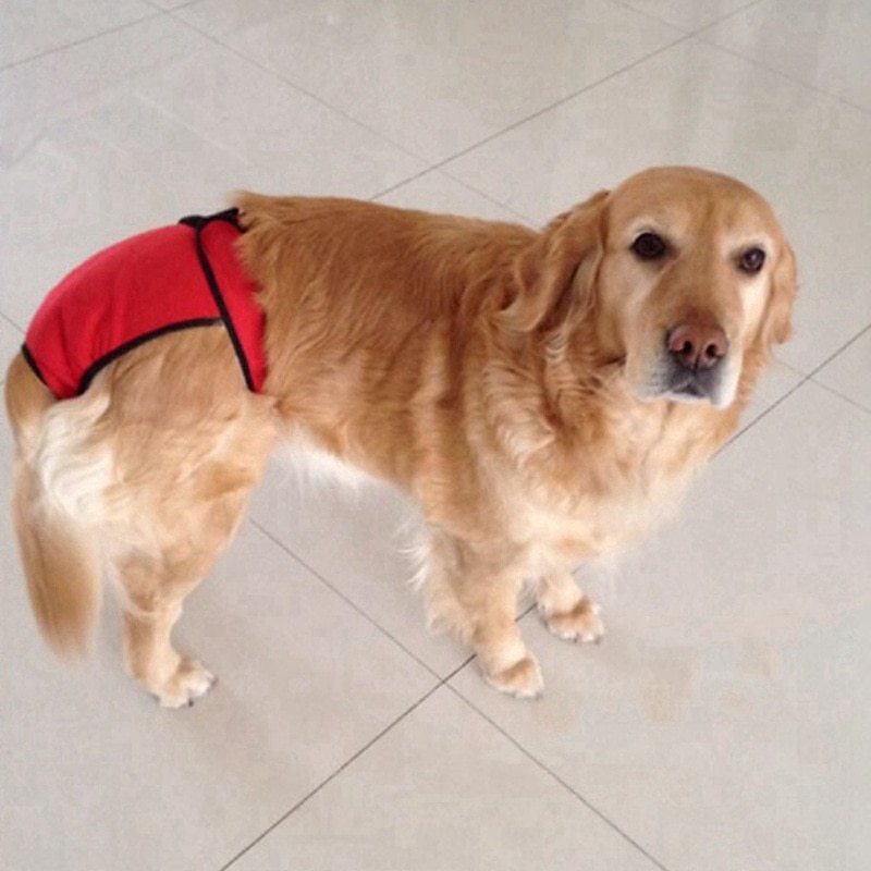 Dog Cat Physiological Pant Fashion Casual Winter Breathable Soft Washable Comfortable Outdoor Casual Daily Dog Clothing for Bichon Frise Pomeranian Baby Pet Papillon Small