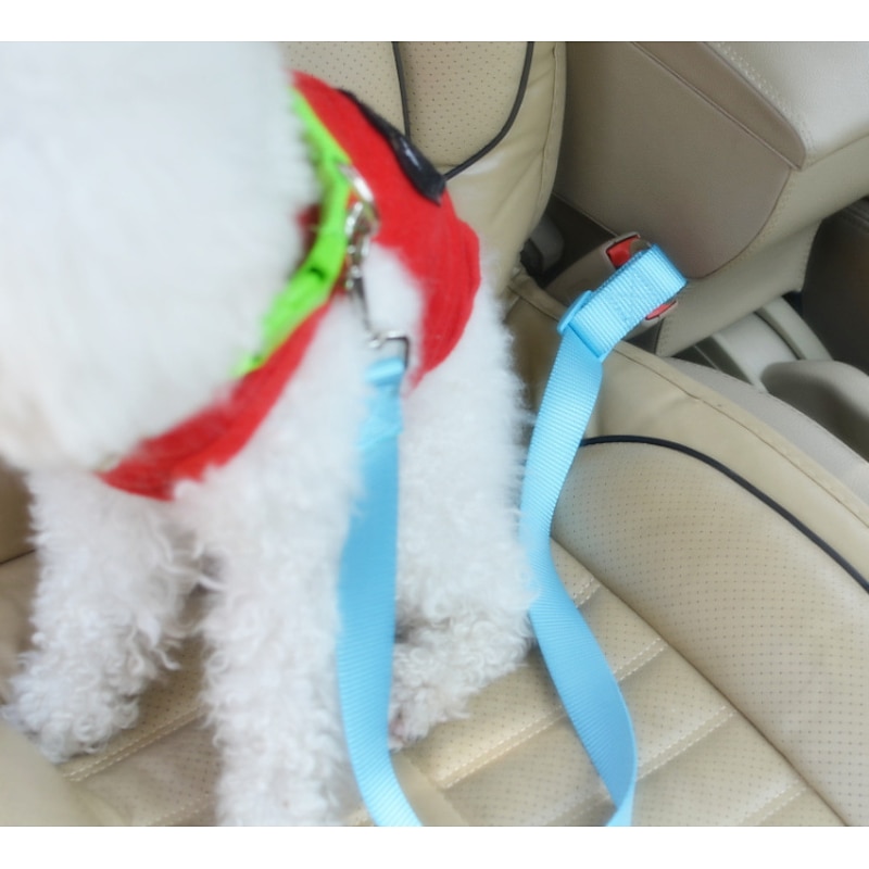 Car pet safety belts with small and medium-sized dog traction ropes to improve dog safety Pet products2