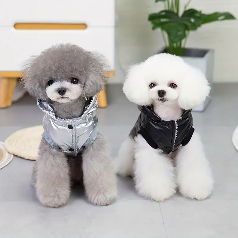 Dog Cat Coat Jacket Fashion Casual Winter Waterproof Warm Breathable Soft Washable Outdoor Casual Daily Dog Clothing for Bichon Frise Pomeranian Baby Pet Papillon Small2
