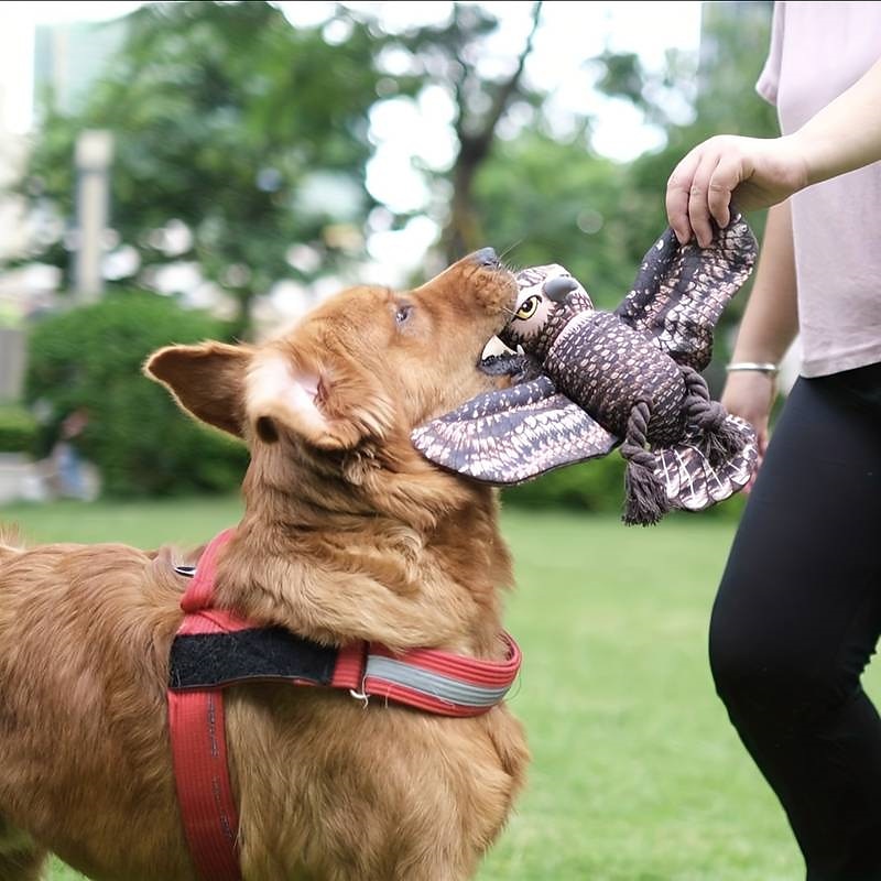 1pc Budgerigar/Owl/Macaws/Parakeets Design Pet Grinding Teeth Squeaky Plush Toy Durable Chew Toy For Dog Interactive Supply4