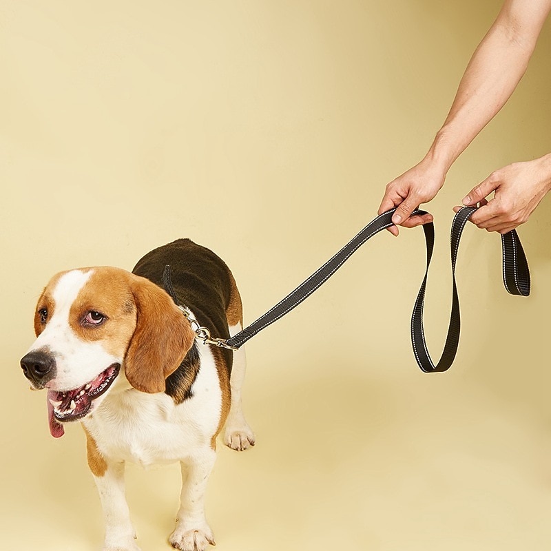 2 Meter Reflective Nylon Pet Traction Rope Comfortable Lining Handle Convenient Training Rope Dog Traction Belt2