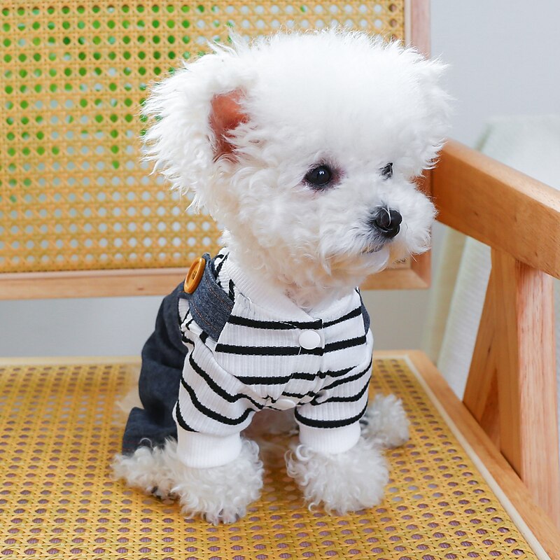 Dog Cat Jumpsuit Fashion Casual Winter Breathable Soft Washable Comfortable Outdoor Casual Daily Dog Clothing for Bichon Frise Pomeranian Baby Pet Papillon Small2