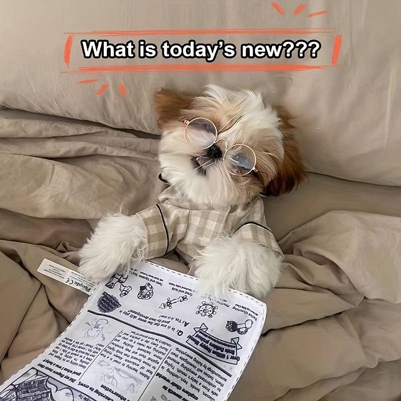 Durable Snuffle Toy for Dogs - Interactive and Bite-Resistant Teething Toy for Pet Pups4