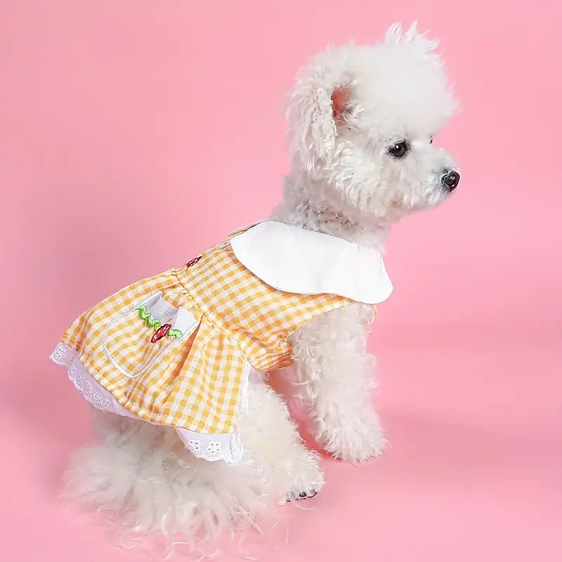 Dog Cat Dress Cute Casual Winter Breathable Soft Washable Comfortable Outdoor Casual Daily Dog Clothing for Bichon Frise Pomeranian Baby Pet Papillon Small3