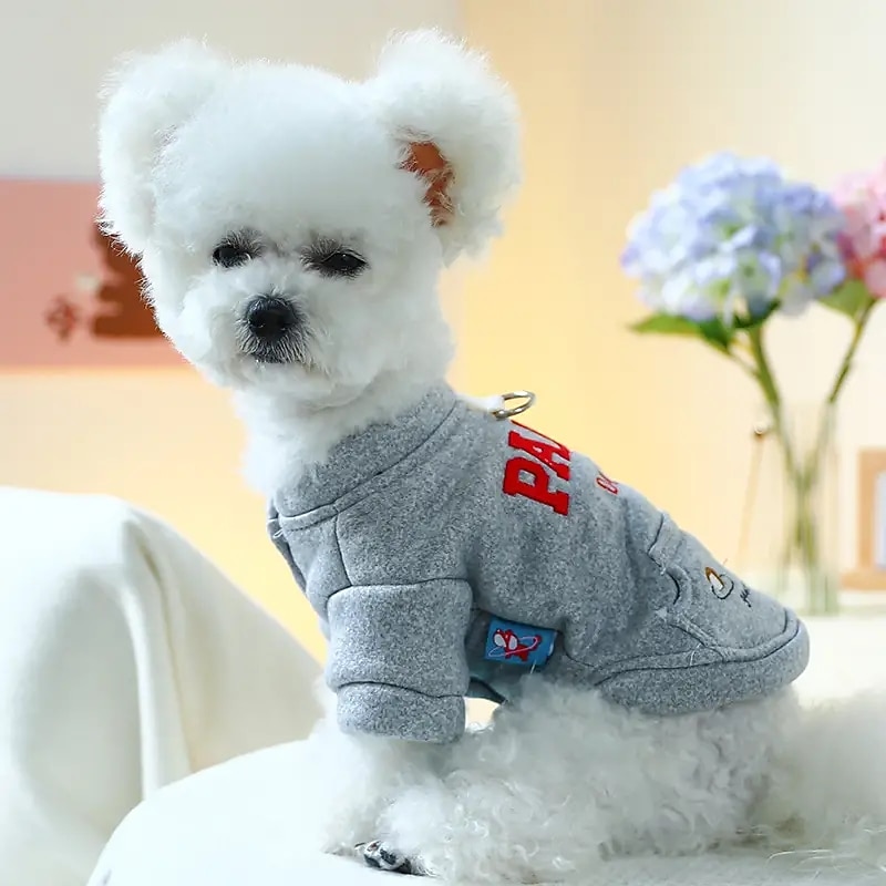 Dog Cat Sweatshirt Sports & Outdoors Casual Winter Breathable Soft Washable Comfortable Outdoor Casual Daily Dog Clothing for Bichon Frise Pomeranian Baby Pet Papillon Small3