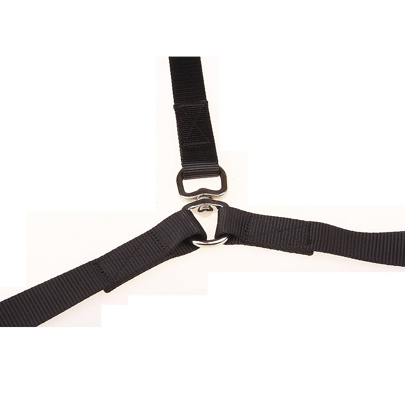 Pet Supplies Retractable Dog Safety Belt Dog Leash Dog Morning Running Dual Head Traction Rope4