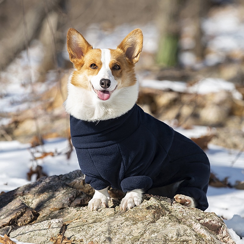 Dog Cat Coat Jacket Fashion Casual Winter Warm Breathable Soft Washable Comfortable Christmas Halloween Outdoor Casual Daily Dog Clothing for Golden Retriever Corgi Dachshund Pomeranian Baby Pet4