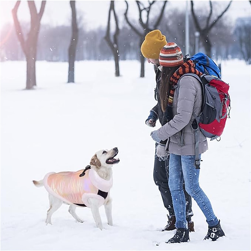 Dog Cat Coat Jacket Vest Fashion Party Winter Reflective Waterproof Warm Breathable Soft Christmas Halloween Outdoor Casual Daily Dog Clothing for Bichon Frise Pomeranian Baby Pet Papillon Small4