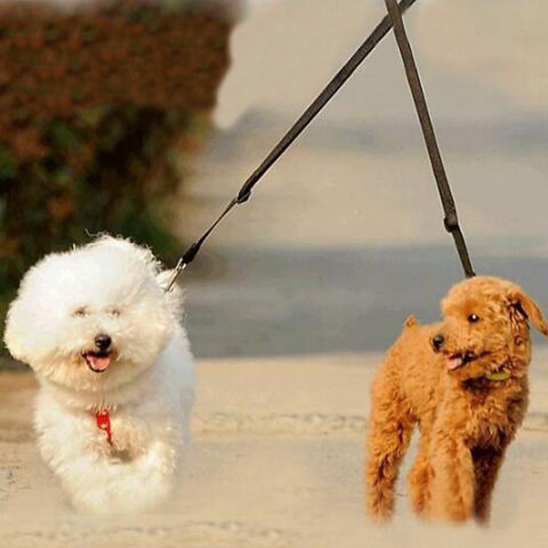Pet Supplies Retractable Dog Safety Belt Dog Leash Dog Morning Running Dual Head Traction Rope