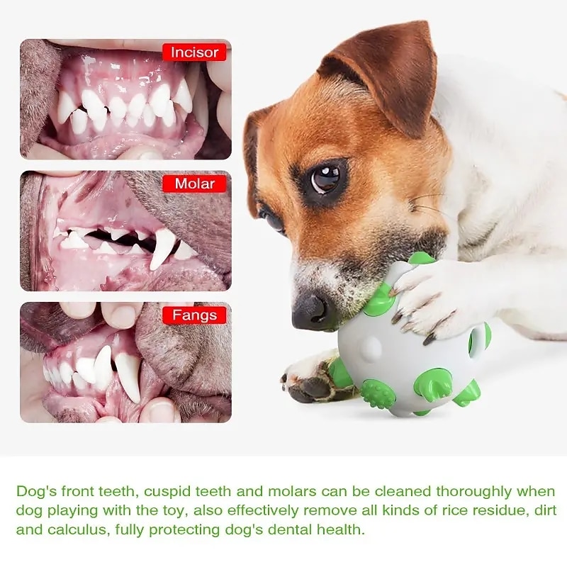 Dog Ball - Chew Toy For Large Medium & Small Dogs - Perfect For Cleaning Teeth & Training!