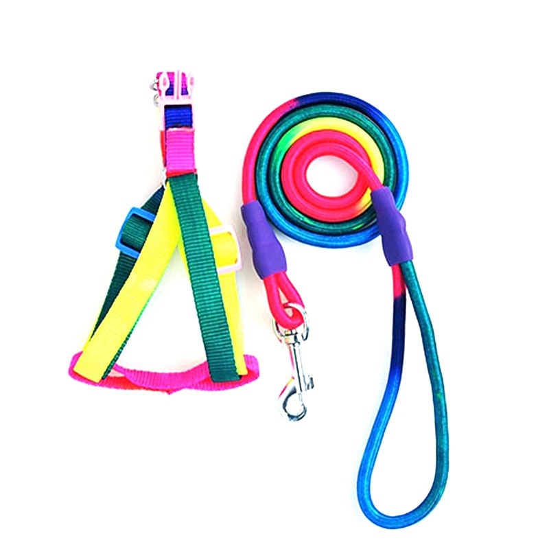 Pet Supplies Dog Traction Rope Pet Colorful Chest Strap Chest Back Dog Chain Dog Rope2