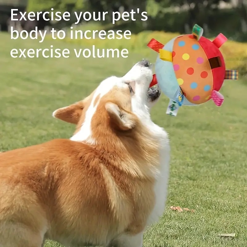1pc Interactive Pet Ball Toy with Squeaker for Fun Training and Playtime2