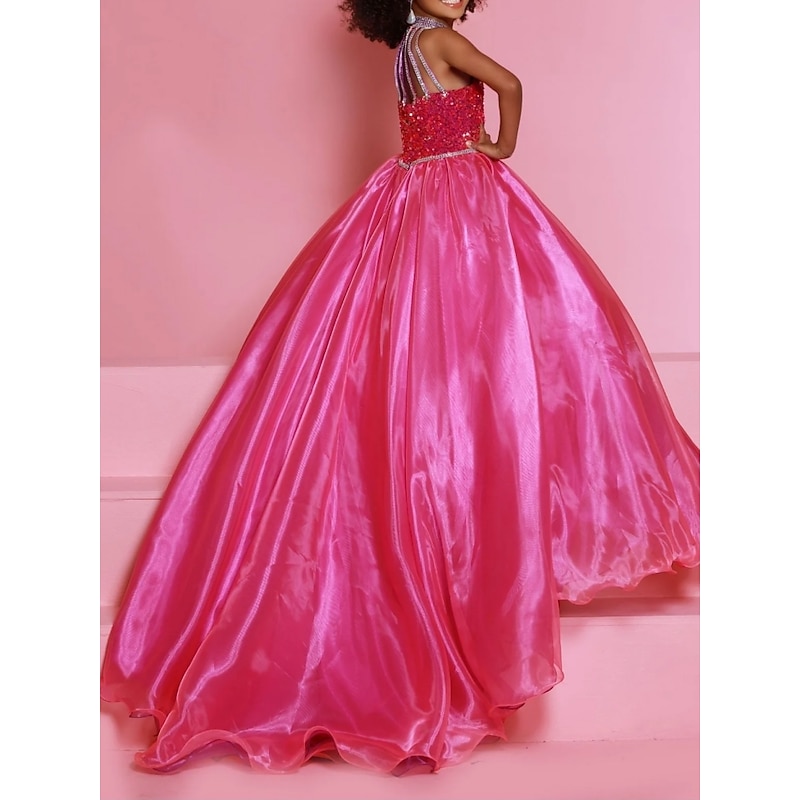 Princess Sweep / Brush Train Flower Girl Dress Wedding Party Girls Cute Prom Dress Organza with Solid Color Mini Bridal Fit 3-16 Years dress to impress2