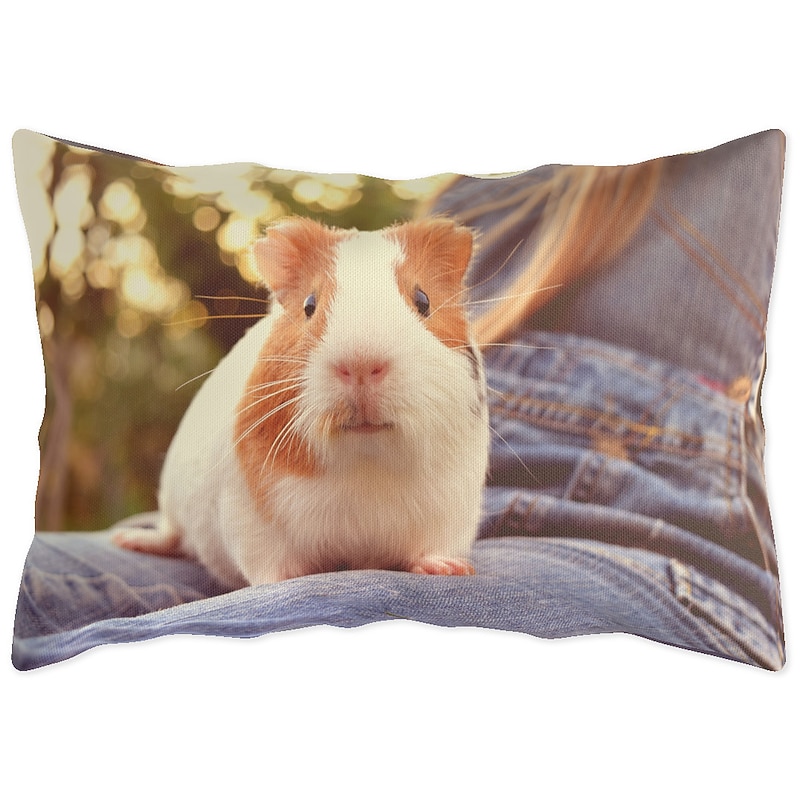 Customized Lumbar Pillow Cover Add your Image Best Graduation Gift Personalized Photo Design Picture Fashion Casual Pillowcase Cushion Cover 1pc4